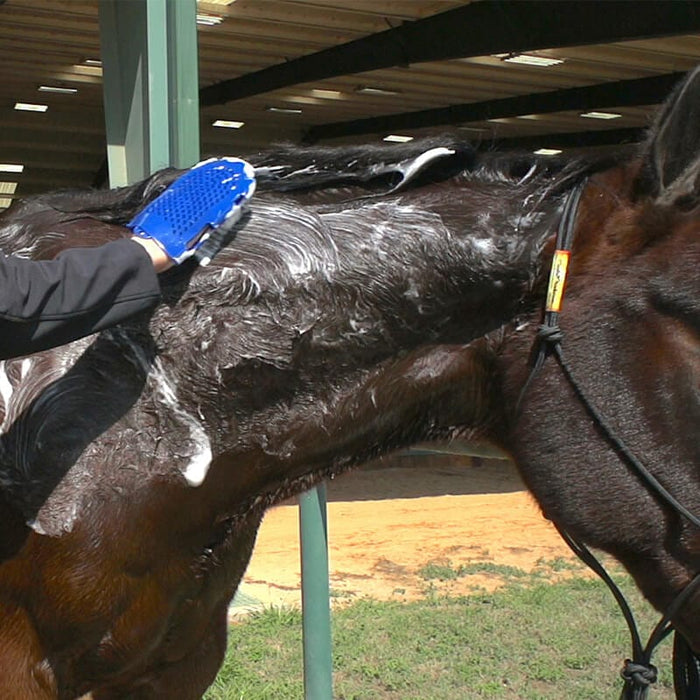 Spray-On Equine Shampoo with LuxShine