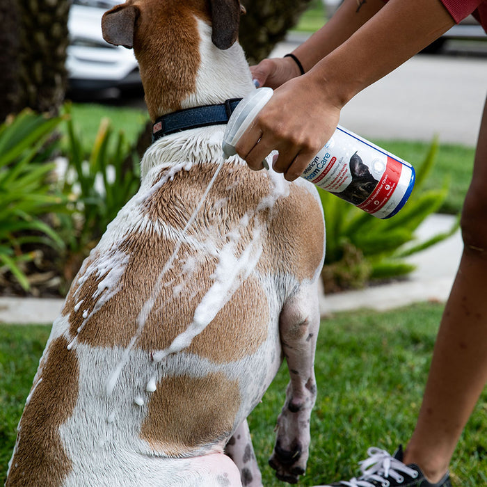 Spray-On Medicated Pet Shampoo