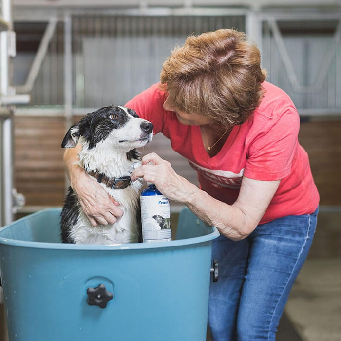 Spray-On Medicated Pet Shampoo