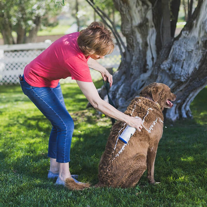 Spray-On Medicated Pet Shampoo