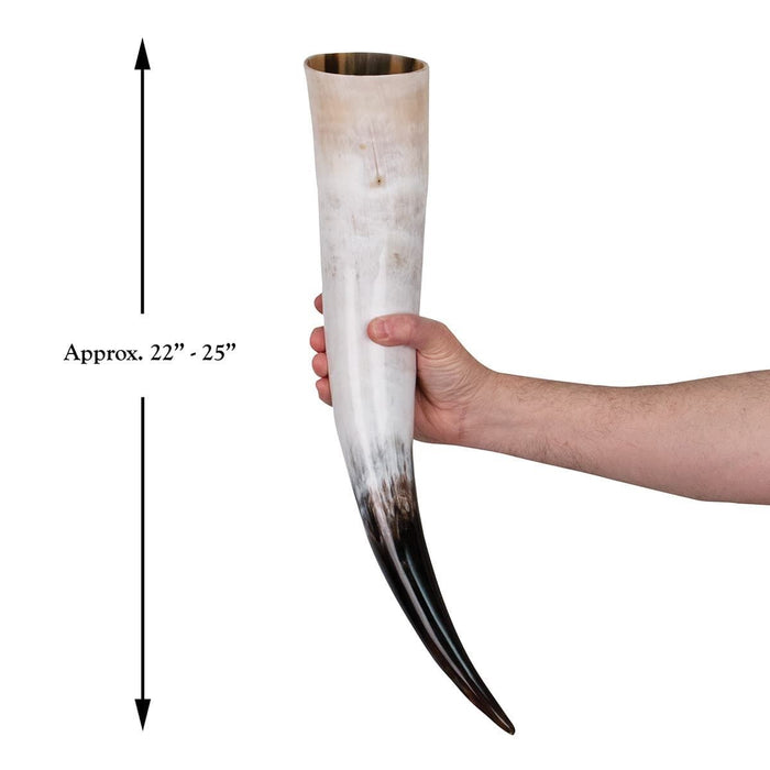 Thor's Oversized Drinking Horn with Stand