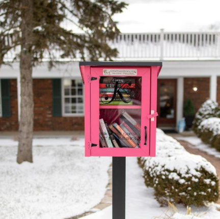 Two Story Shed Unfinished Little Free Library