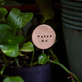 Water Me - Plant Stake