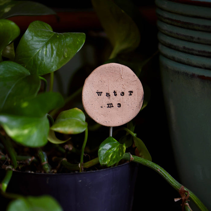 Water Me - Plant Stake
