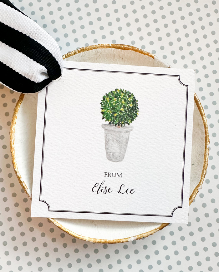 Watercolor Boxwood