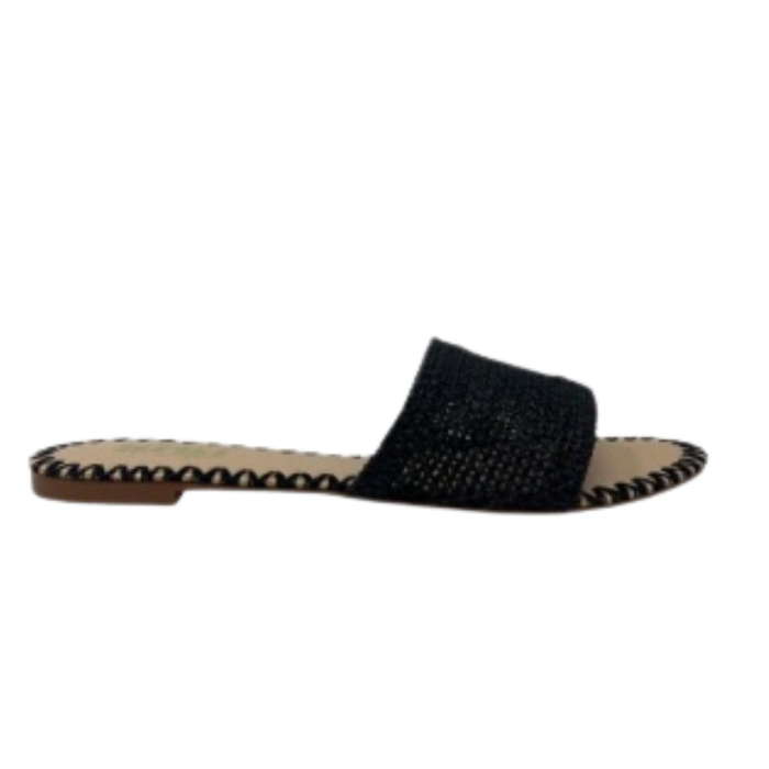 Women's Dixie